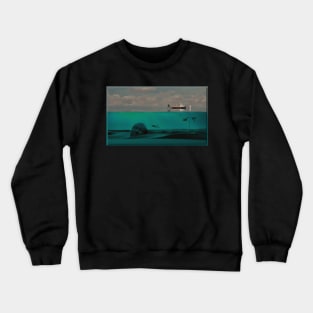 The Divers Crewneck Sweatshirt